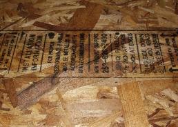 3/4" BB PLYFORM (PINE)